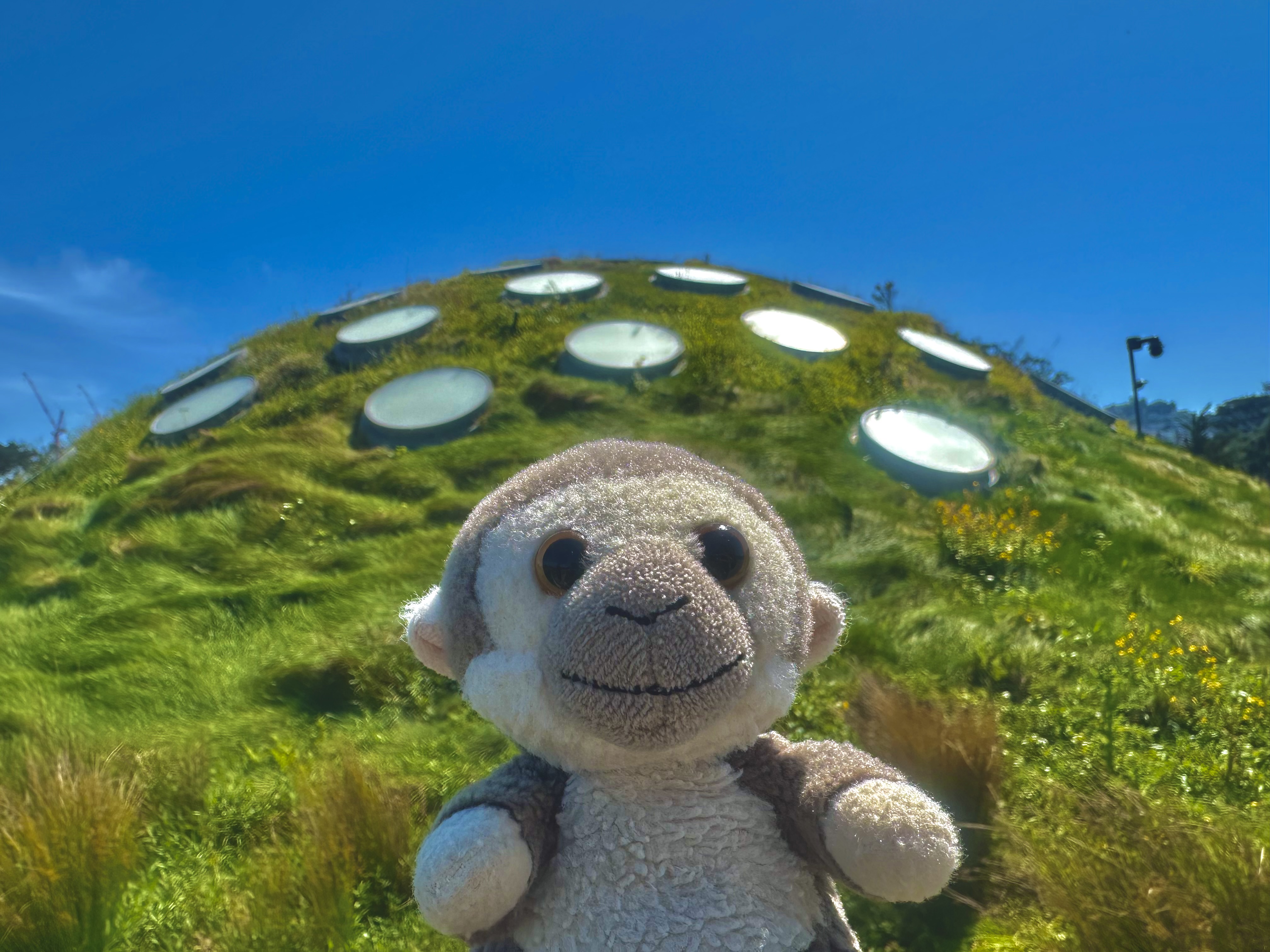teletubby